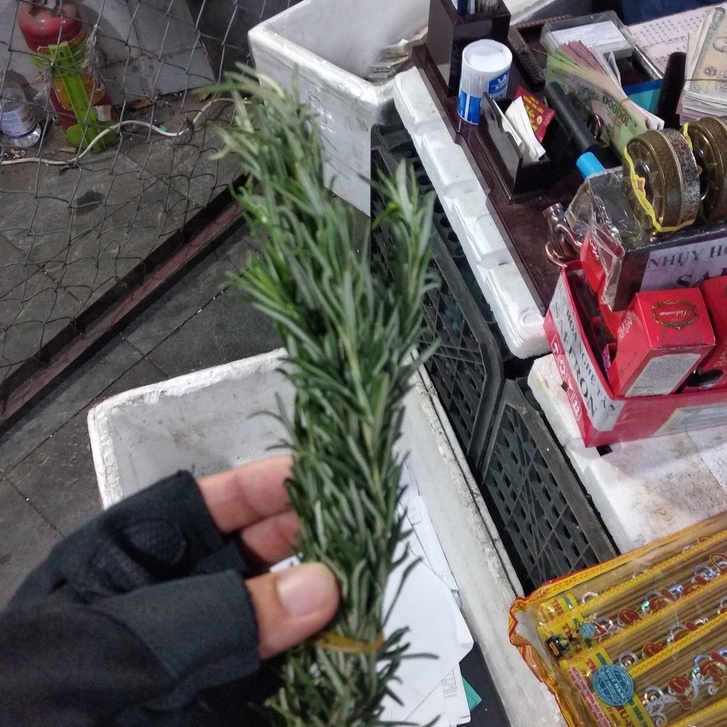 Lá Rosemary tươi hương thảo fresh leaves Tươi Nấu Ăn ,Giâm Cành Trồng 100g