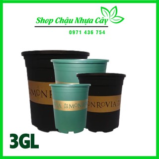 Chậu Nhựa Monrovia Việt Nam 3GL