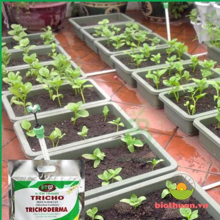 Nấm Đối Kháng Trichoderma Điền Trang - 1kg