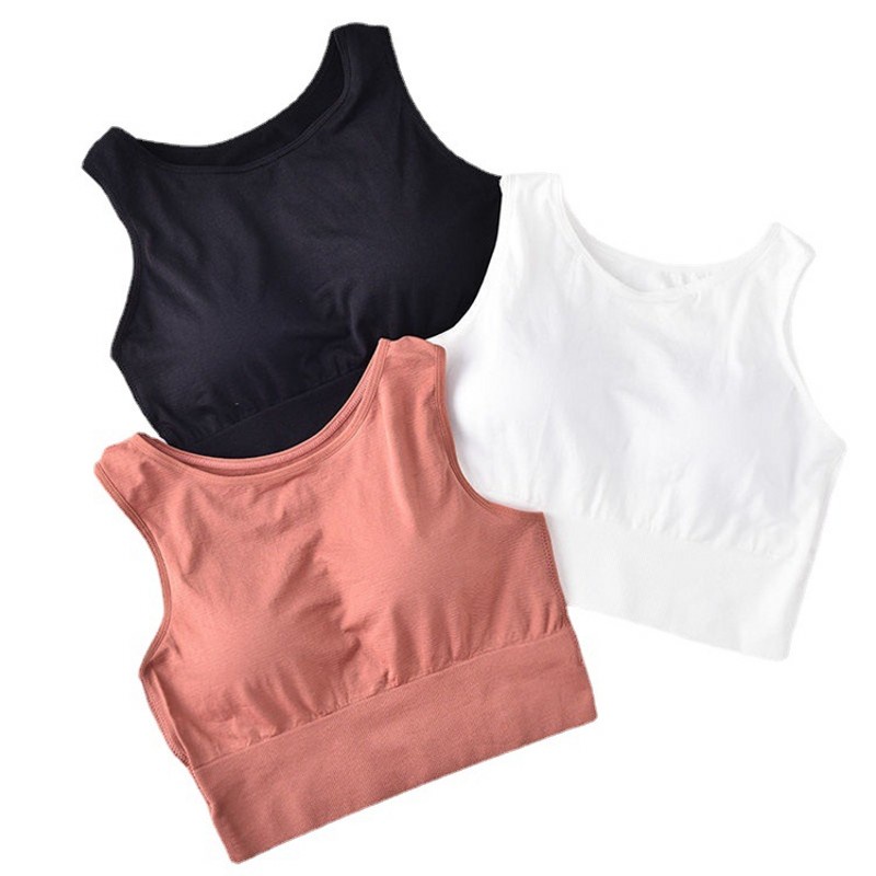 Áo Ngực Thể Thao Không Gọng Có Mút Nâng Ngực