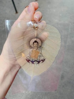 Lá Bồ Đề Thái Lan