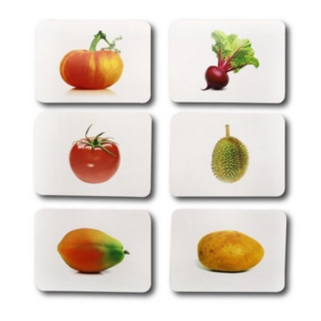 Bộ thẻ học glenn doman cho trẻ sơ sinh chuẩn flashcard thế giới xung quanh 100 thẻ Shop Bố Su