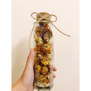 Bình thuỷ tinh hoa bất tử 330ml