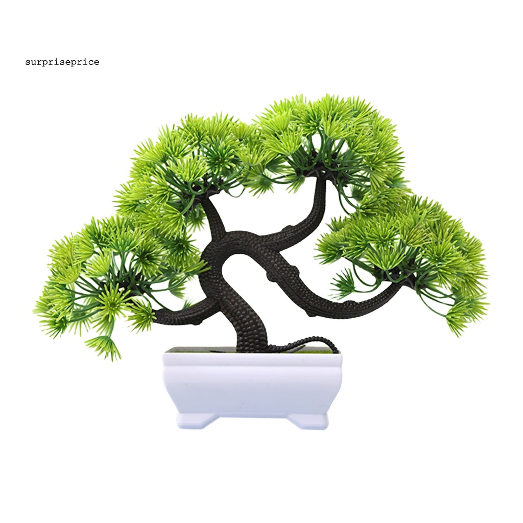 Chậu Cây Bonsai Giả Trang Trí