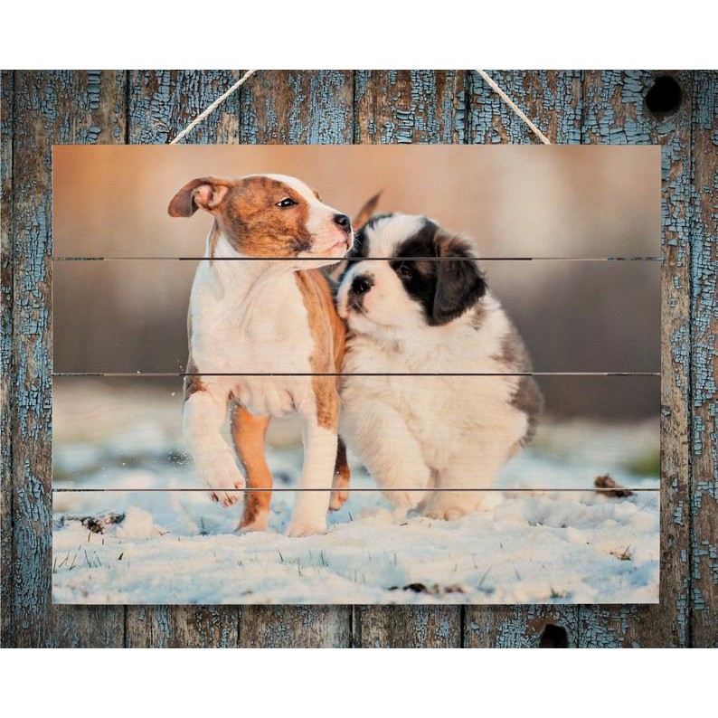 Quà kỷ niệm || Tranh gỗ kỷ niệm ảnh thú cưng, kích thước 30x40 cm hoặc 20x 30 cm