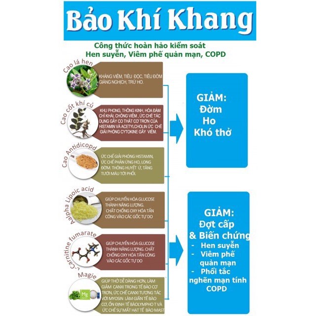 BẢO KHÍ KHANG (HỘP 20 VIÊN) - Giảm tái phát hen suyễn, viêm phế quản mạn, COPD