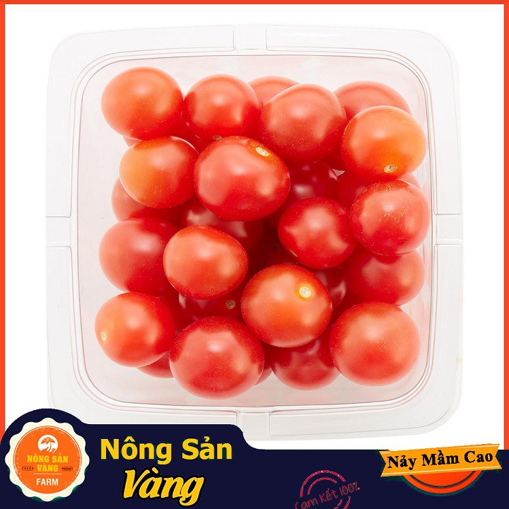Hạt giống Cà Chua Cherry Đỏ ( Gói 20 hạt ) - Nông Sản Vàng