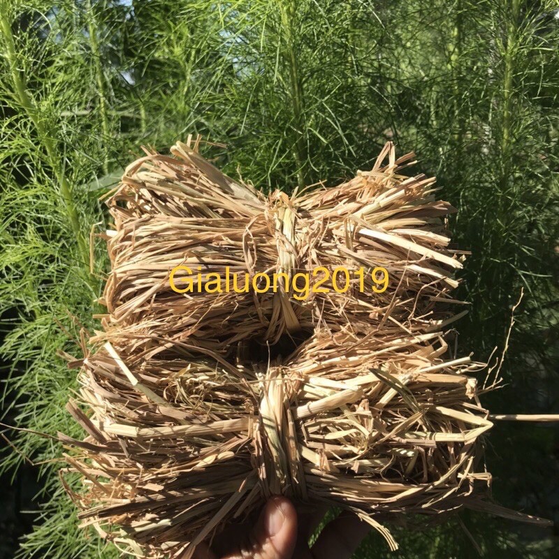 Bó rơm khô mini  mua càng nhiều giá càng rẻ