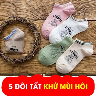 COMBO 5 ĐÔI TẤT CỔ NGẮN
