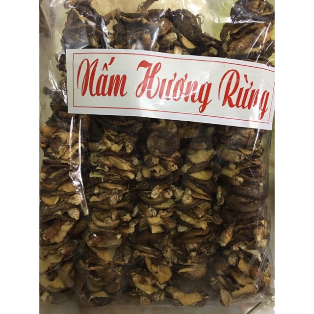 Nấm hương rừng tây bắc