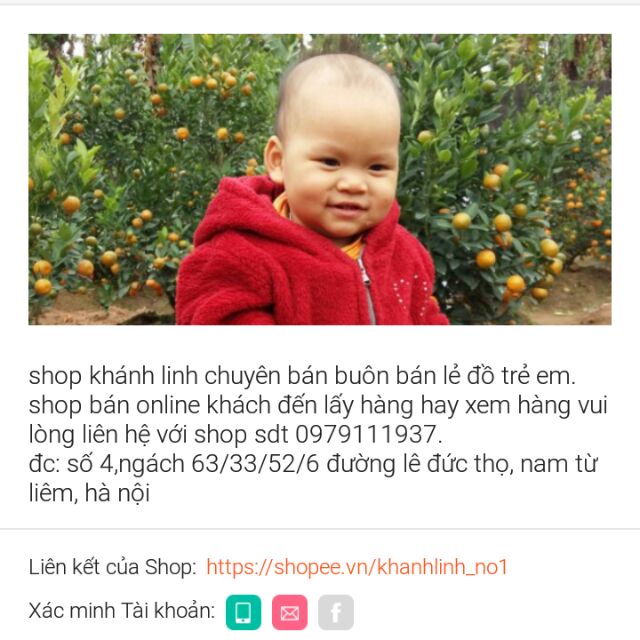 Combo sỉ..