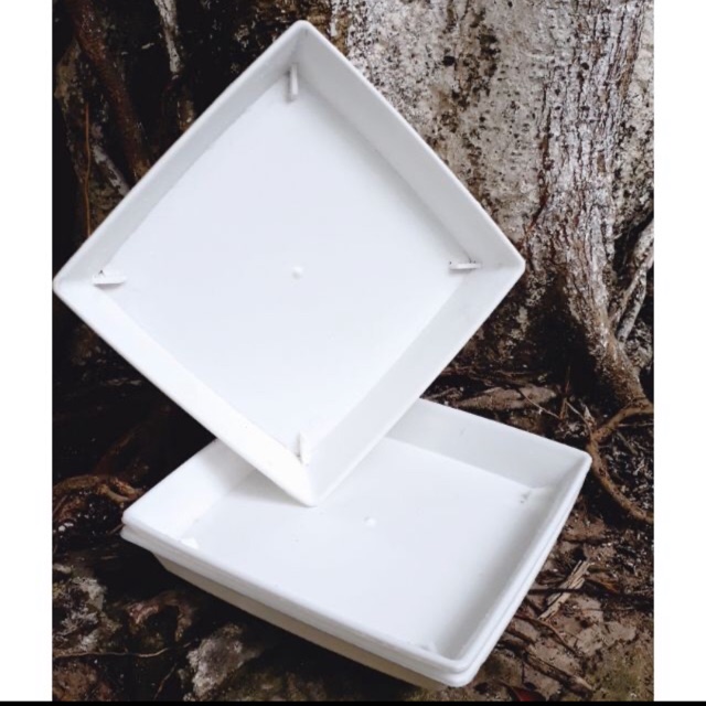 Đĩa lót chậu cây phi 15cm