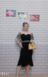 Đầm thiết kế