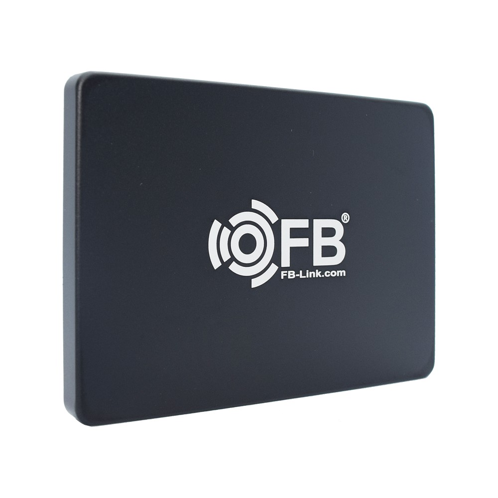 Ổ Cứng SSD FB-LINK 256GB HM300 I Chính Hãng - BH 36 Tháng | BigBuy360 - bigbuy360.vn