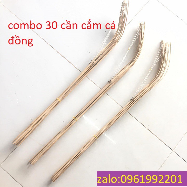 [30 CẦN]Combo 30 Cần Câu Cắm Cá Đồng-cần câu cắm cá lóc,trê,ếch,lươn-cần câu cắm ếch