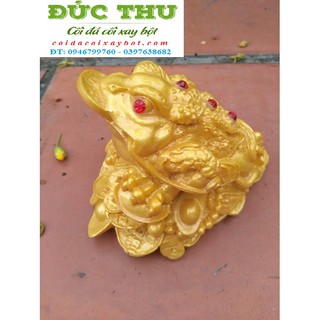 CÓC NGẬM ĐỒNG TIỀN VÀNG