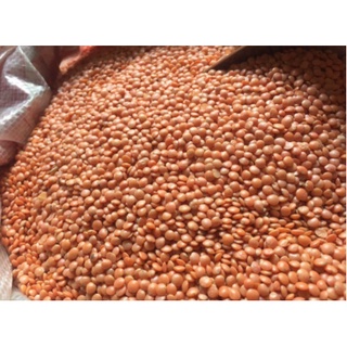 500g đậu lăng đỏ Canada