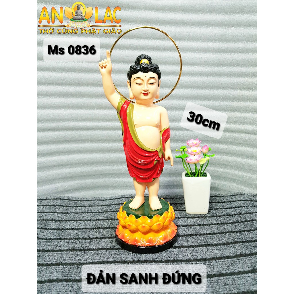 TƯỢNG PHẬT ĐẢN SANH 2B