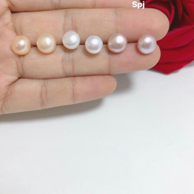 Bông tai bạc gắn trai nuôi nước ngọt