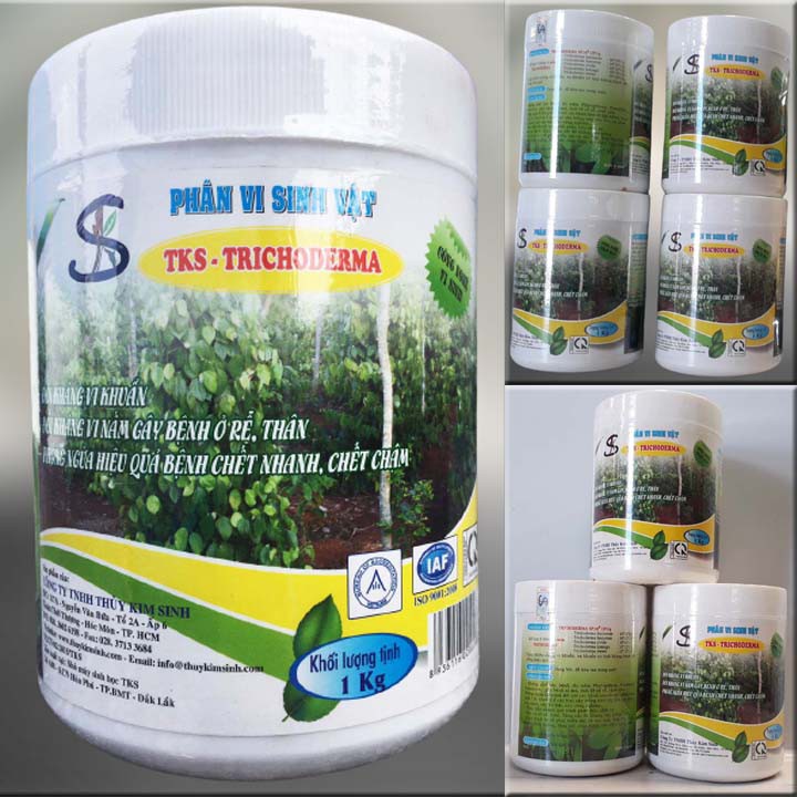 1 KG TRICHODERMA Chứ 5 tỷ Bào Tử Nấm, Phòng Trừ Bệnh Rộng Hơn - Bột Hòa Tan