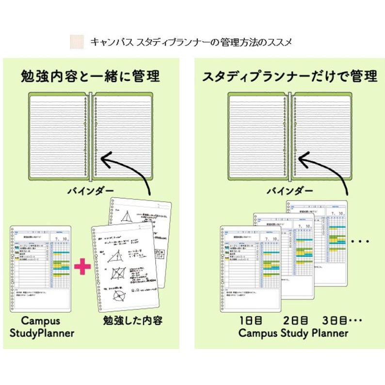 Set 30 Giấy Refill Binder Campus Study Planner Học Tập B5