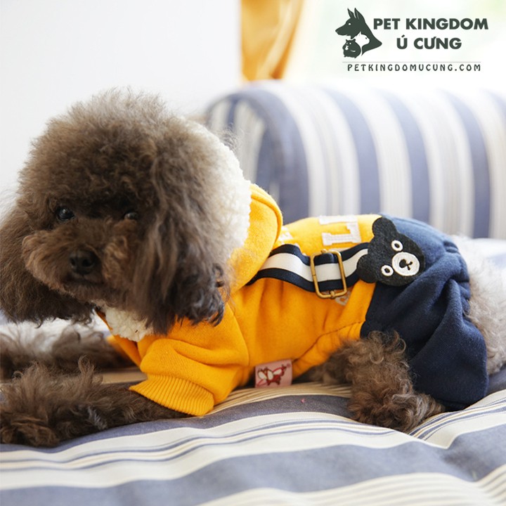Quần áo chó mèo - gấu teddy