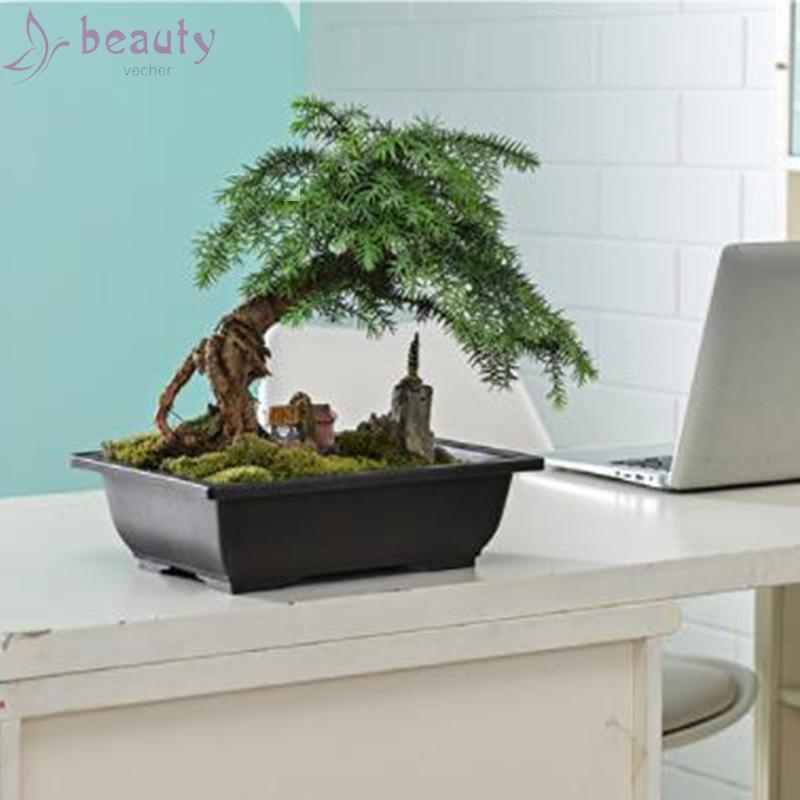 Chậu đựng cây bonsai dùng trang trí tiện dụng chất lượng cao