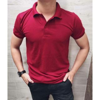 Áo phông massimo dutti