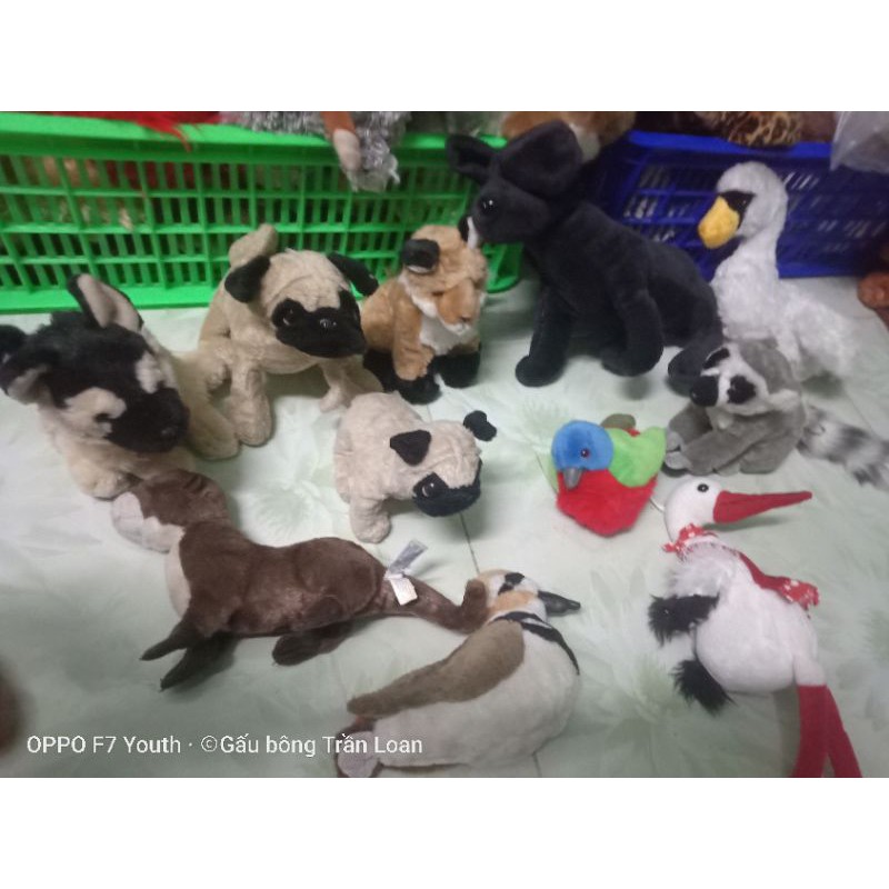 Gấu bông con vật các loại