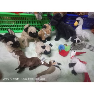 Gấu bông con vật các loại