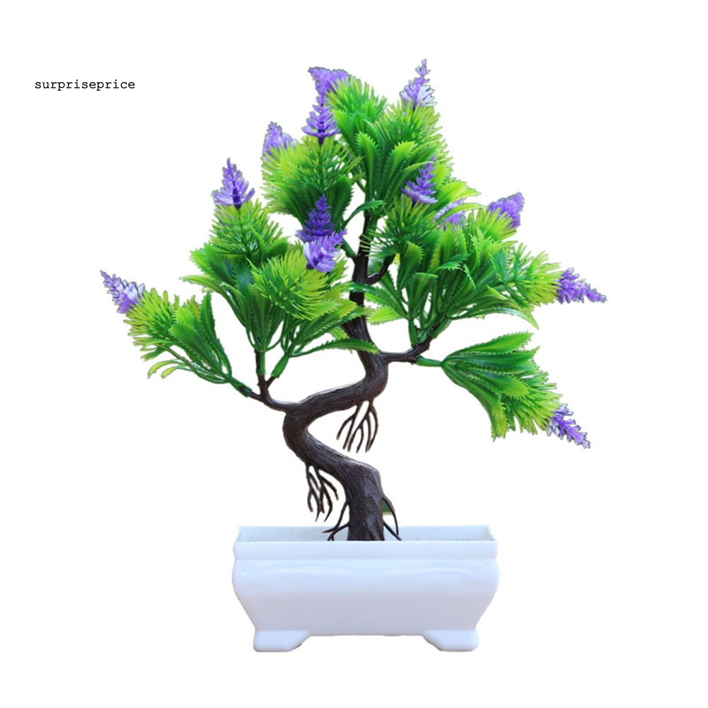 Chậu Cây Thông Nhân Tạo Để Bàn Trang Trí Nhà Cửa / Khách Sạn / Văn Phòng