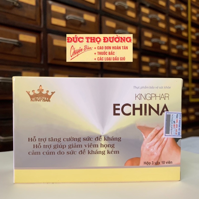Echina Kingphar - Cảm cúm, đau họng kéo dài