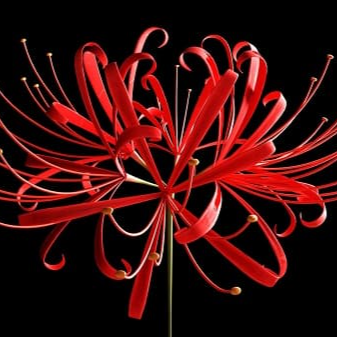 beautyM2