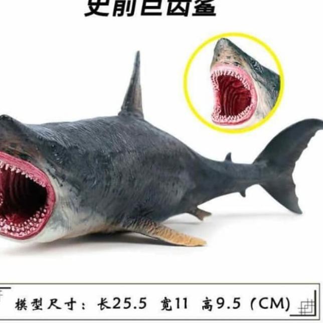 Mô Hình Khủng Long / Cá Mập Megalodon Trong Phim Jurassic Park