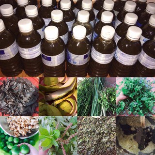 Nước gội đầu bồ kết cô đặc 500ml 100% thiên nhiên