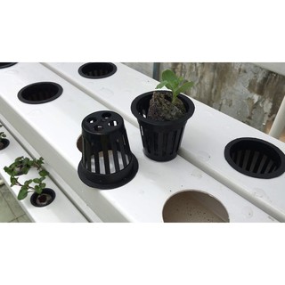 Rọ thủy canh (đường kính miệng 6.5cm (combo 50 rọ) )
