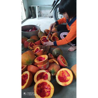 Dầu gấc nhà làm 500ml