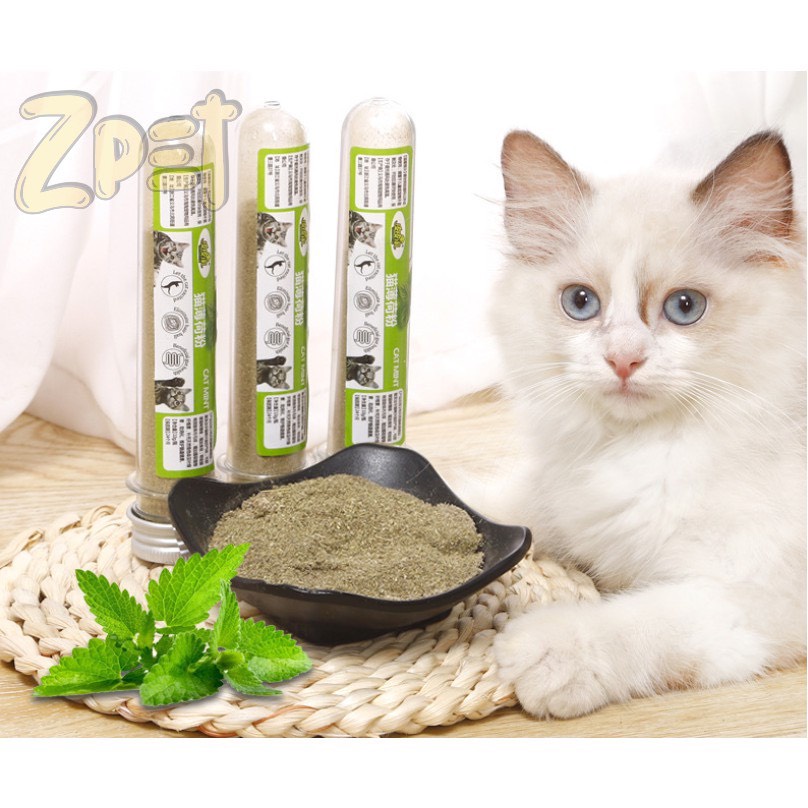 Catnip cỏ bạc hà cho mèo ống 💖Cỏ Phê💖