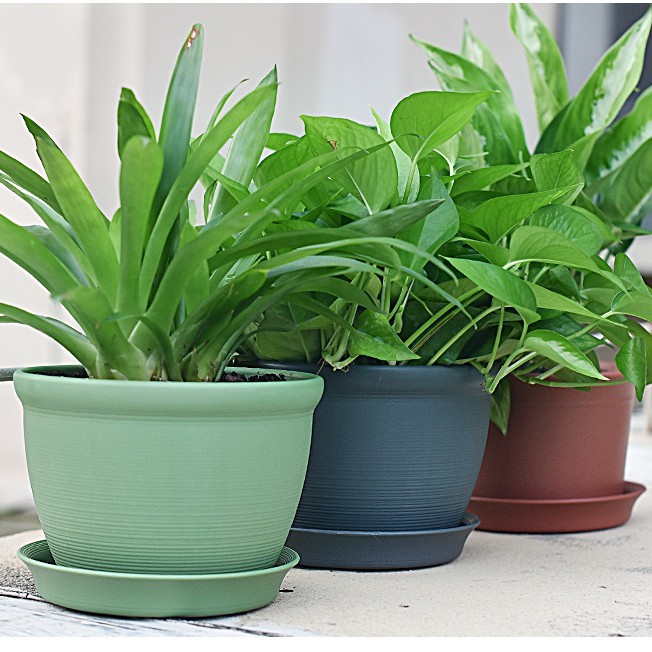 Chậu trồng hoa ngoài trời cao cấp- nhiều màu, siêu dày, siêu bền bỉ