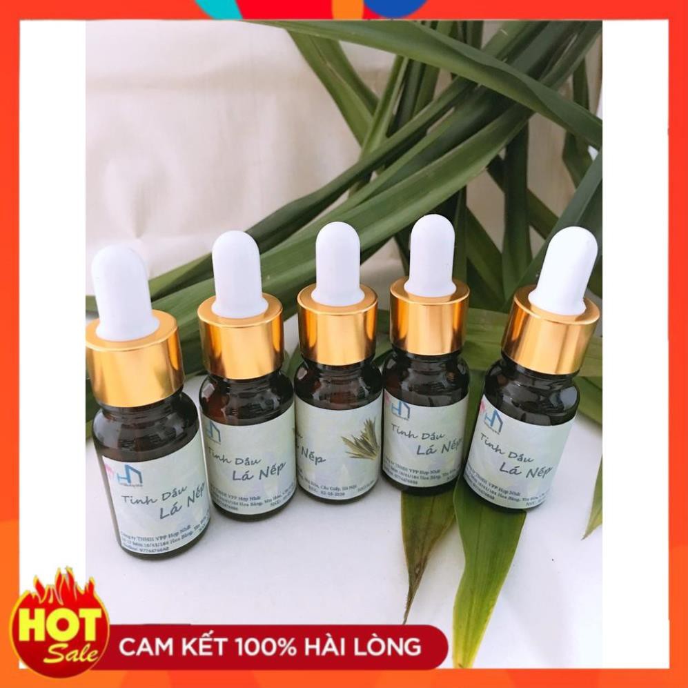 Combo 03 Lọ Tinh dầu Lá Nếp 10ml