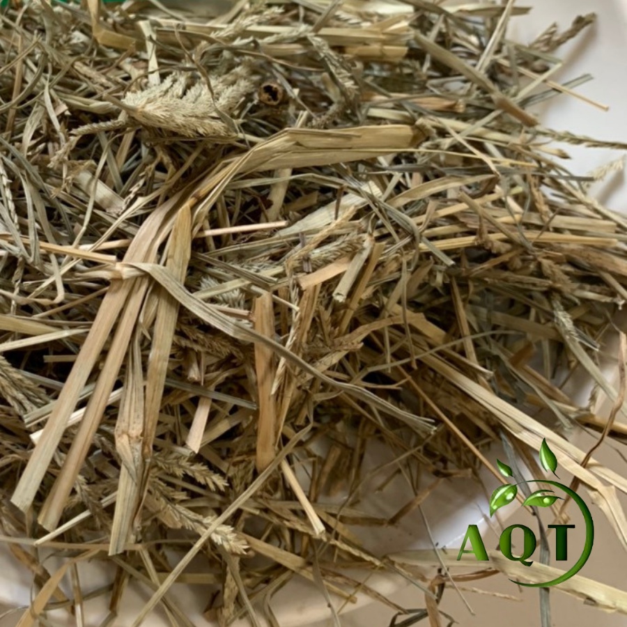 1KG Cỏ Mần Trầu Khô Loại 1 (Thơm, Sạch) Gội Đầu Mượt Tóc, Đẹp Da, Cây Mần Trầu Thảo dược An Quốc Thái Loại 1, Hàng Đẹp