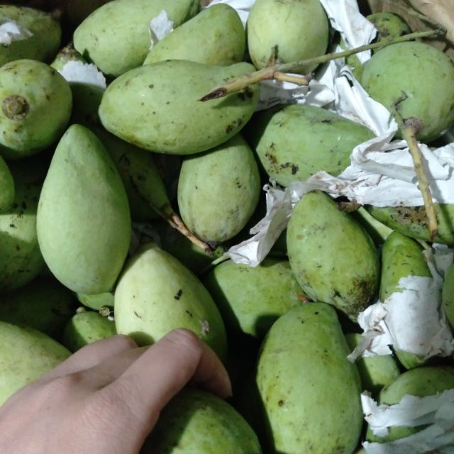 manhha990, Cửa hàng trực tuyến | BigBuy360 - bigbuy360.vn