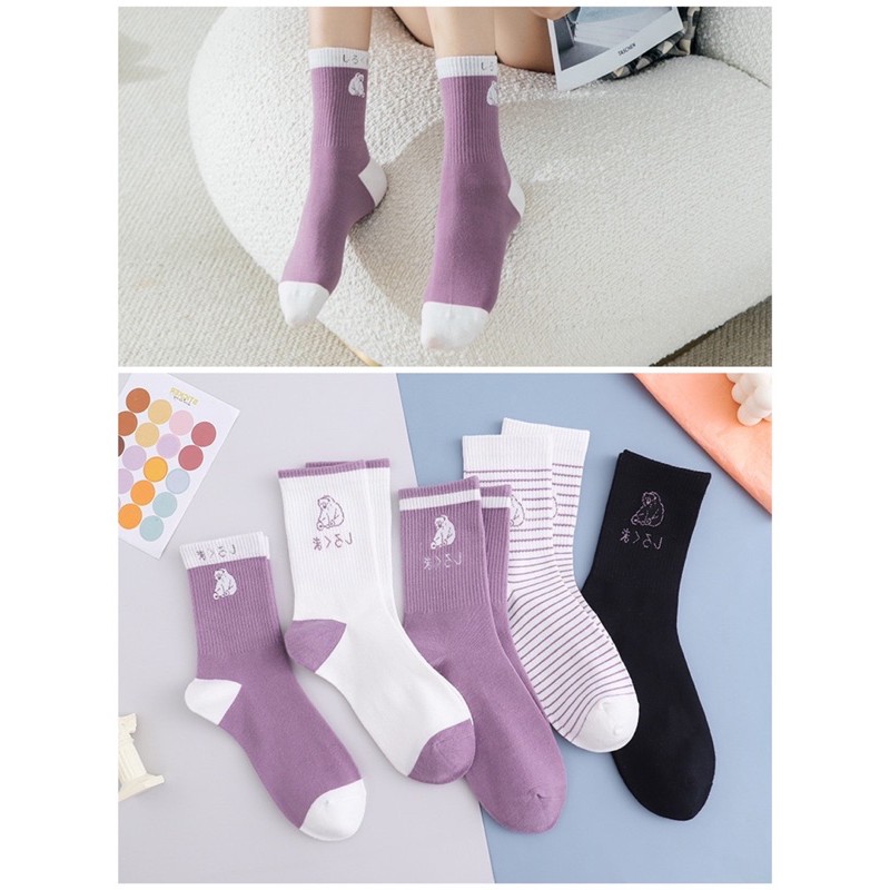 Tất vớ nữ cổ cao cute dày dặn màu tím hottrend S20 - zonzuly