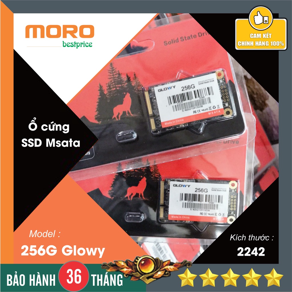 Ổ cứng SSD Msata/M2 sata 128GB/256GB Suneast/Glowy - Hàng chính hãng bảo hành 36 tháng!