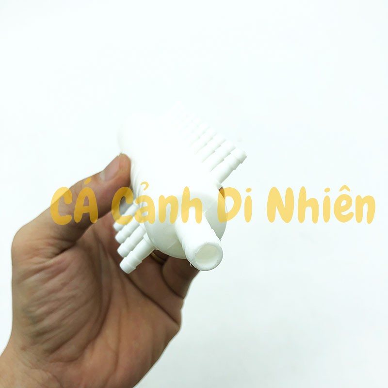 Ống chia dây sủi khí Oxy 20 đầu cho hồ cá cảnh