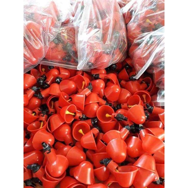 40 máng uống tự động cho gà vịt