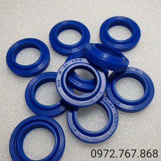 Phớt chắn bụi - gạt bụi DHS 16*24
