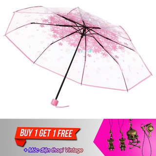 Dù xếp trong suốt hoa anh đào V.2 - Do_luu_niem