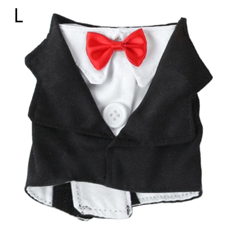 Bộ Đồ Vest Hóa Trang Nhân Vật May Mắn Cho Chim Vẹt