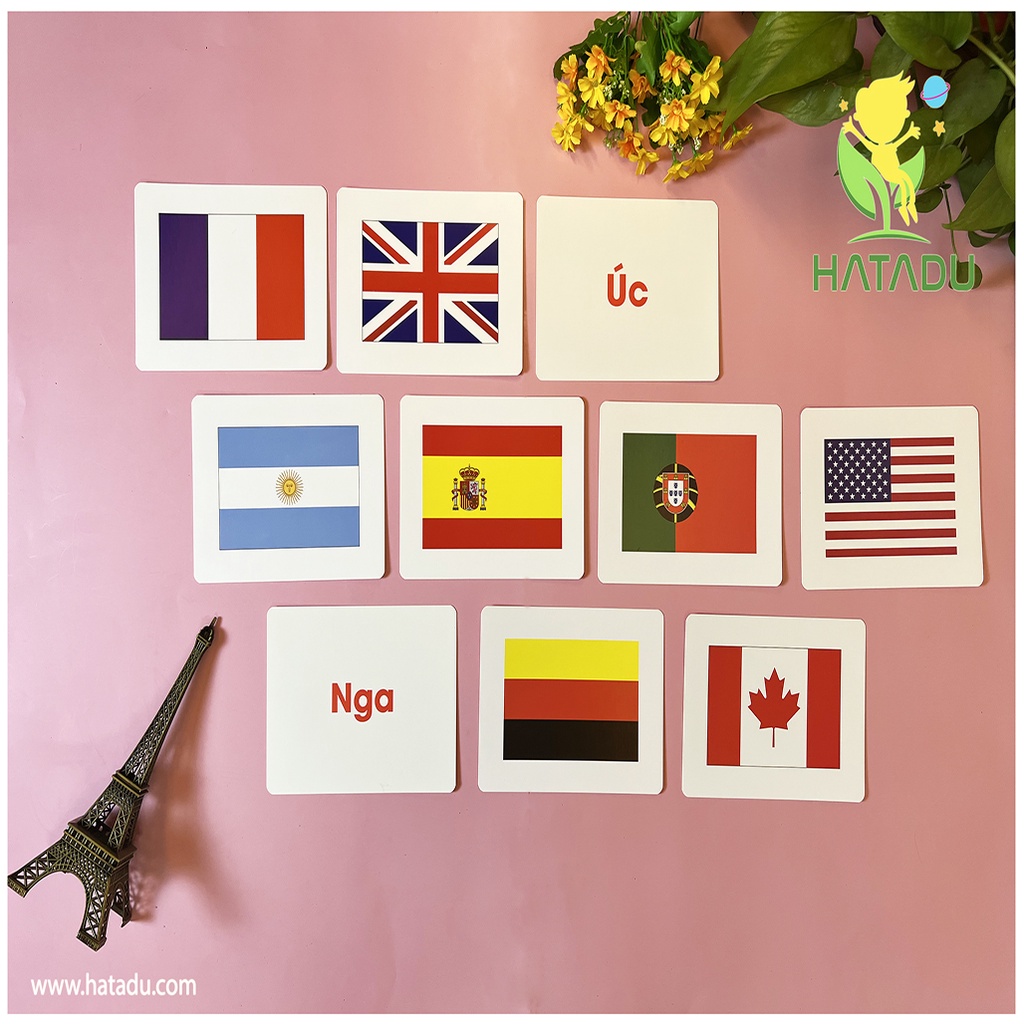 Combo Bé Thông Minh - Thẻ Fashcard